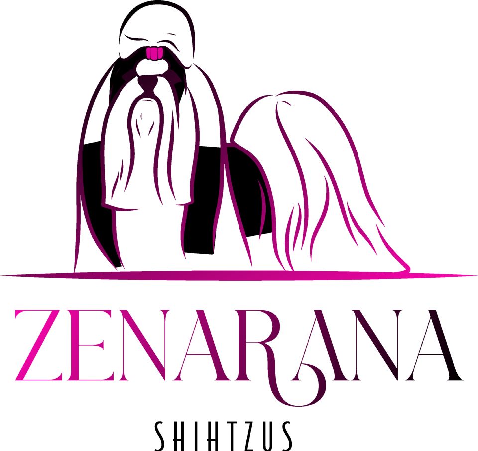 Zenarana Shihtzus